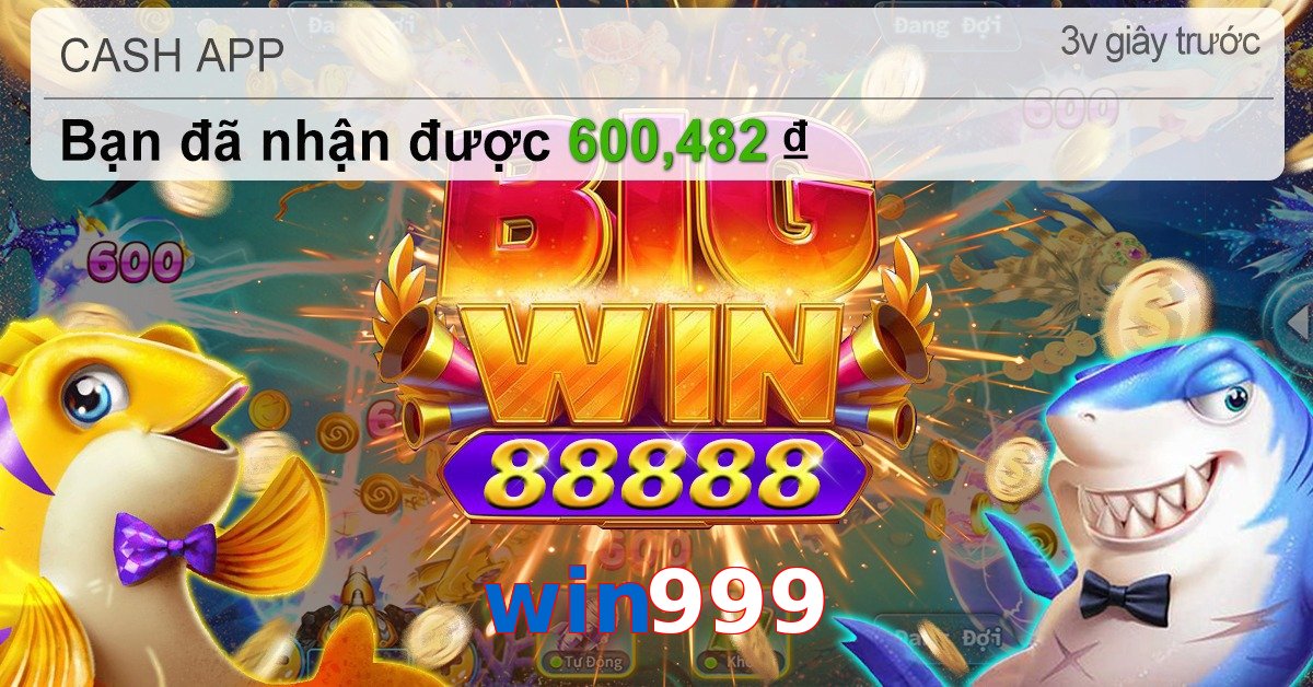 win999