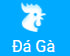 win999